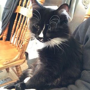 Meet your Posher, Abigail